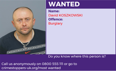 David Koszkowski - Burglary