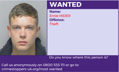 Ernie Hider - Theft
