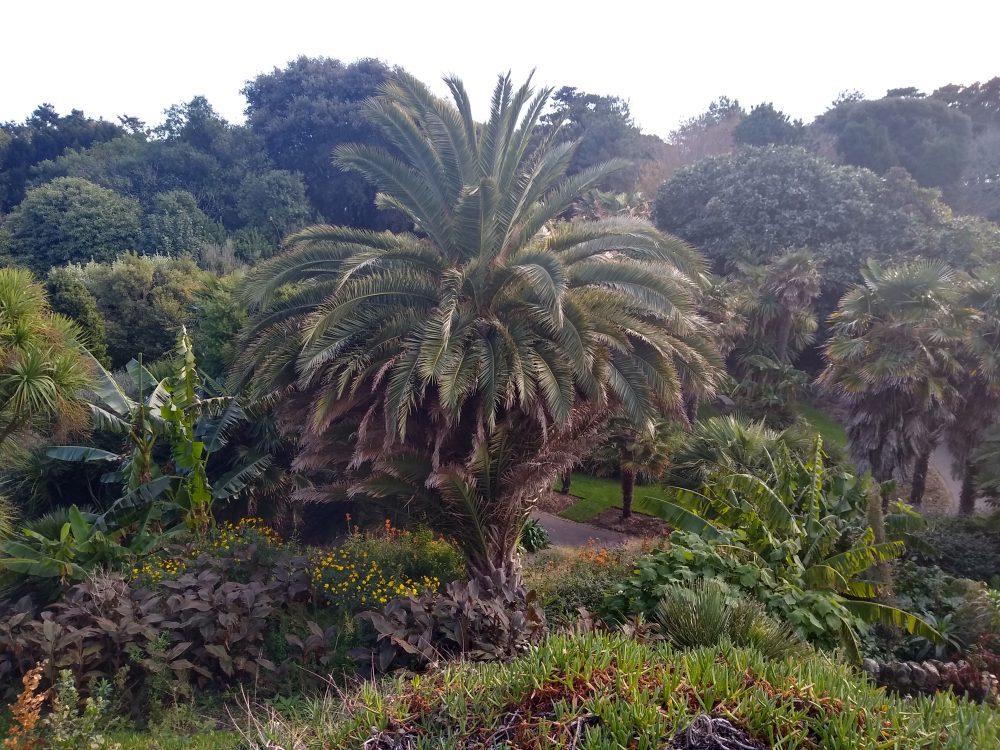Img 20211128 140715906 Hdr