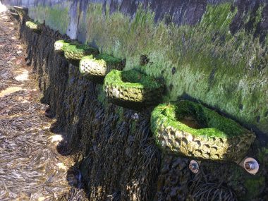 Vertipools
