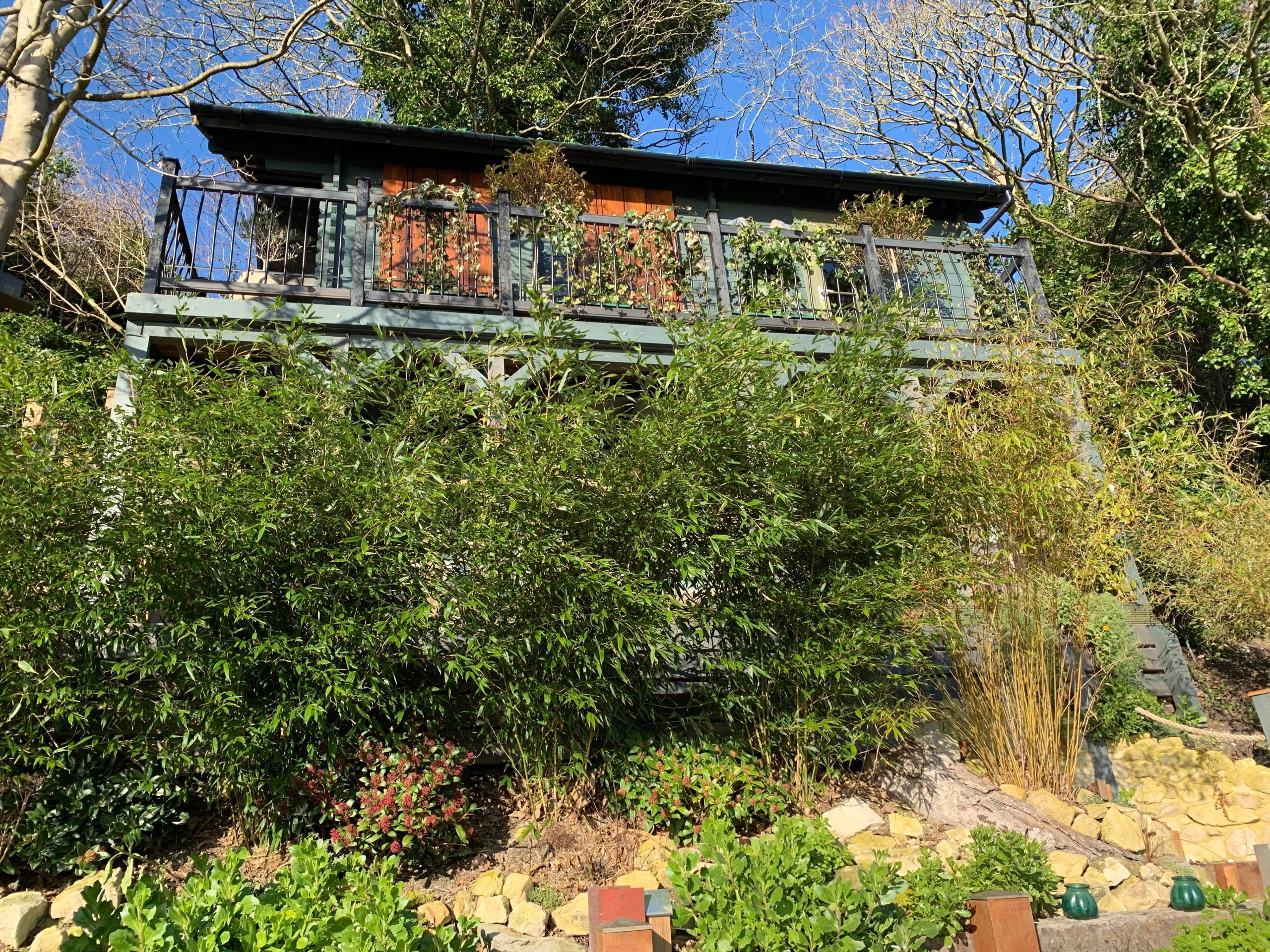 Keep The Cabin (6)