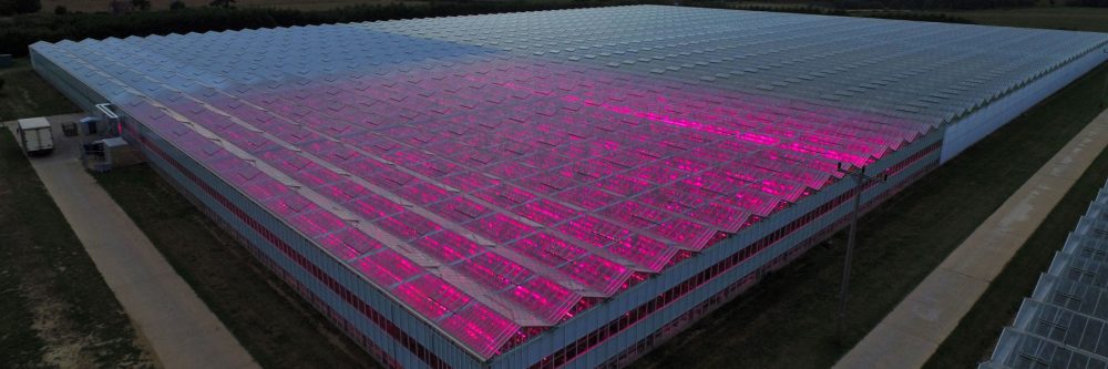 Aps-group-greenhouses