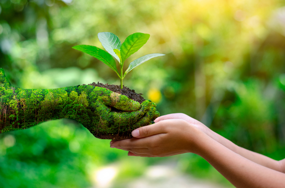 Environment-earth-day-hands-trees-growing-seedlings