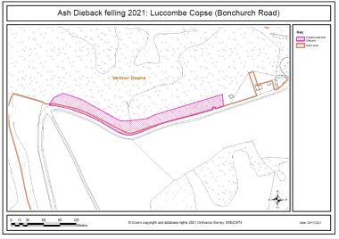 Luccombeashdieback