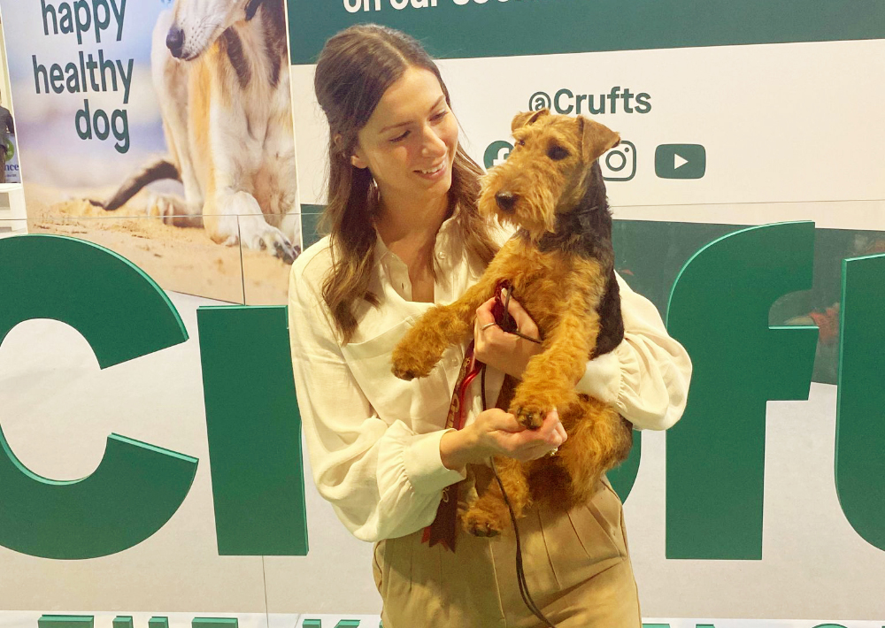 Iowca Crufts2022 Welshterrier Bestpuppy