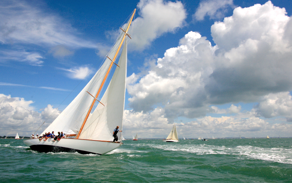 Wings,on,the,solent