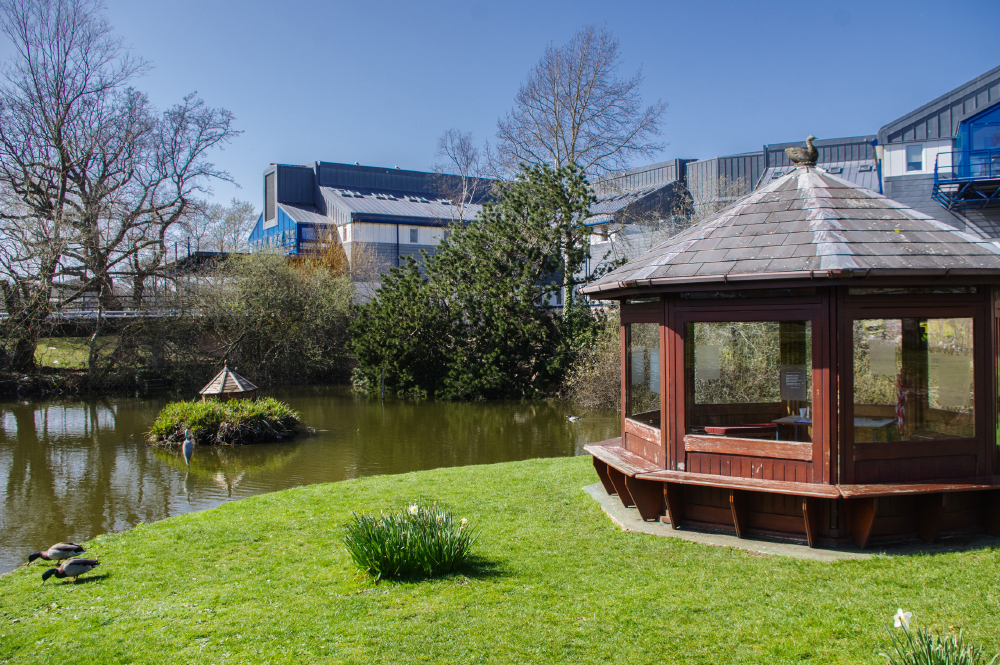 St Mary's Hospital Duck Pond Location