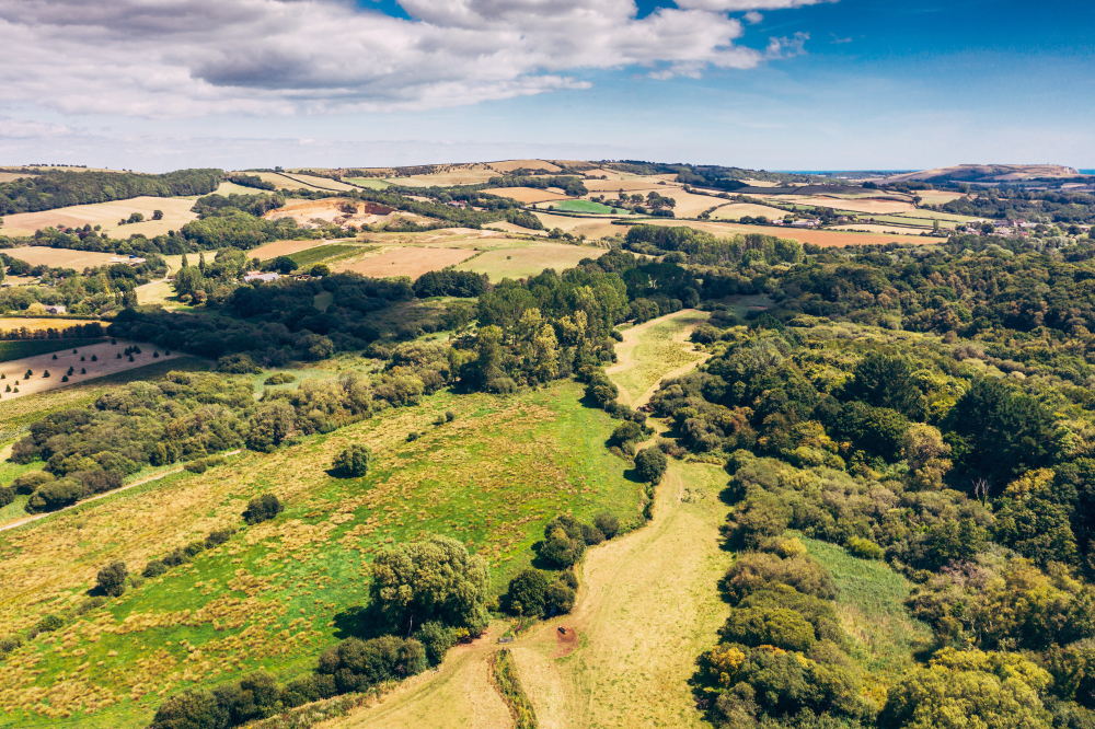 The Isle Of Wight Is A Haven For Nature © Strong Island Media