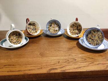 Bird Feeders 1