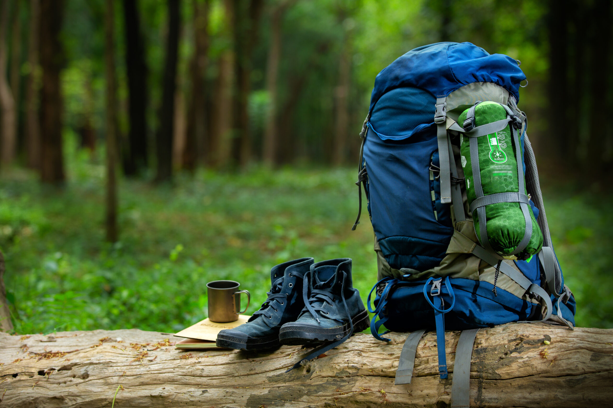 Sport Shoes And Backpack Color Blue On The Timber In The Forest,
