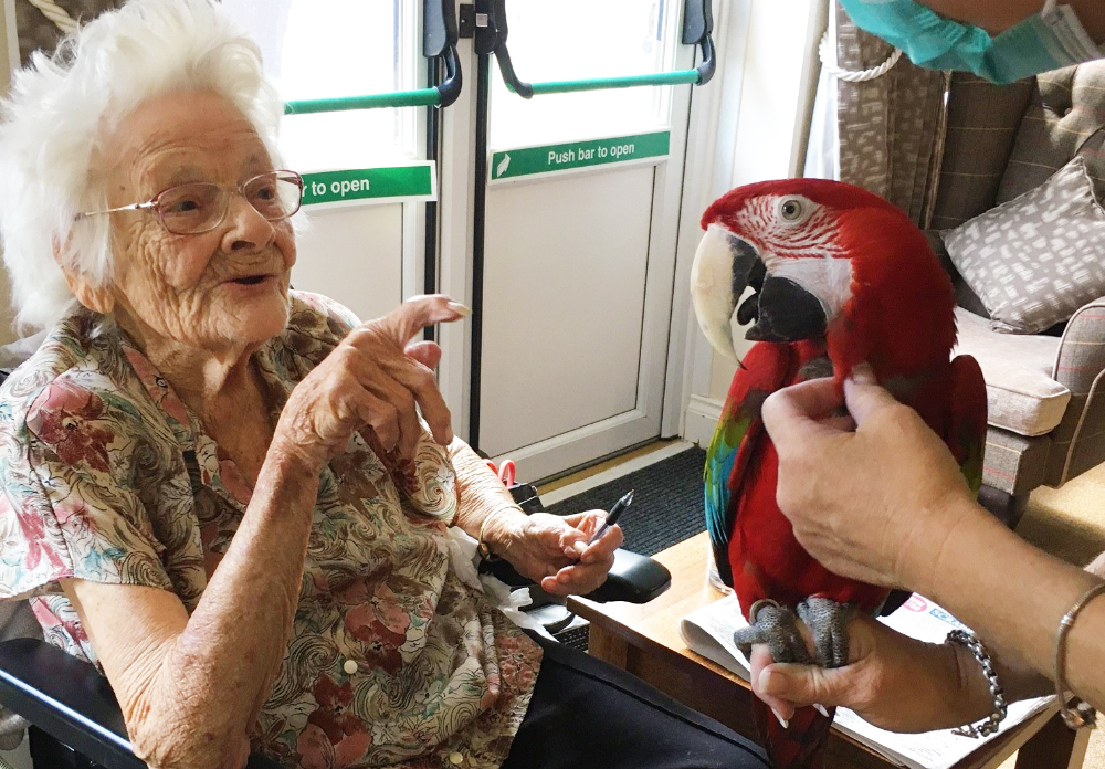 Parrot-rescue-featured
