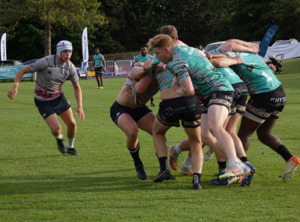 Wild Dogs Action