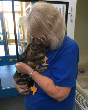 Pauline Holding Molly At Centre - Please Credit Cats Protection