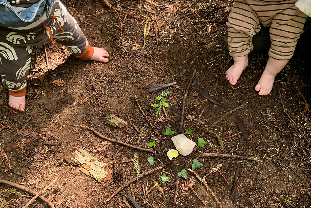 Babywildsession