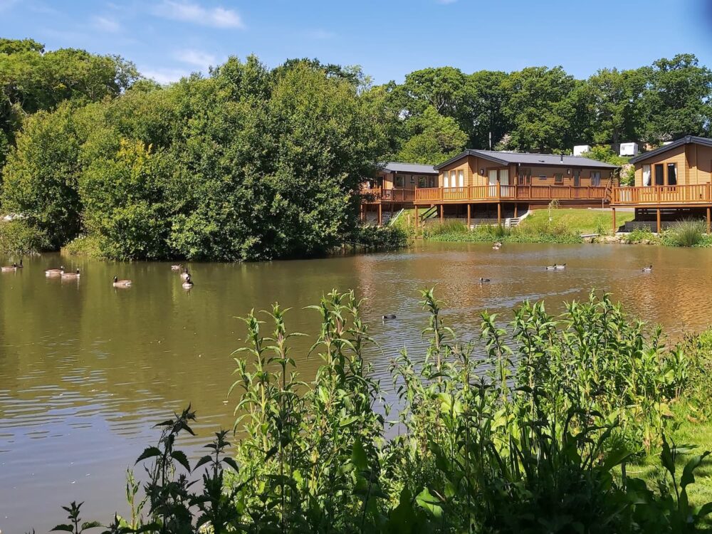 Roebeck Country Park boasts 2 lakes