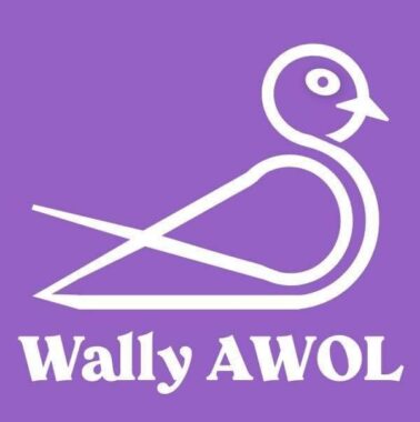 Mrwallylogo