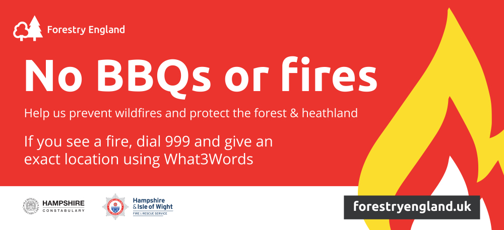 Forestry Fire Banner