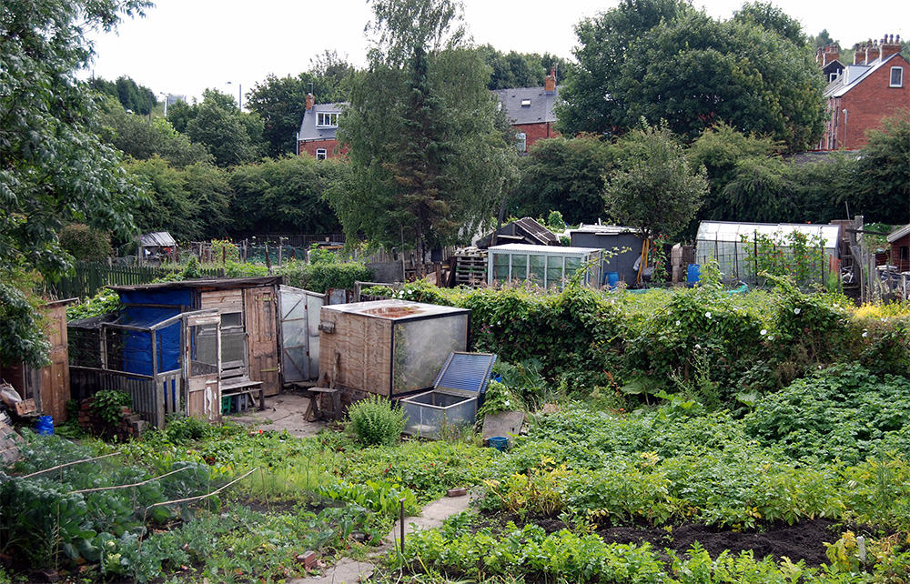 Allotmentstock