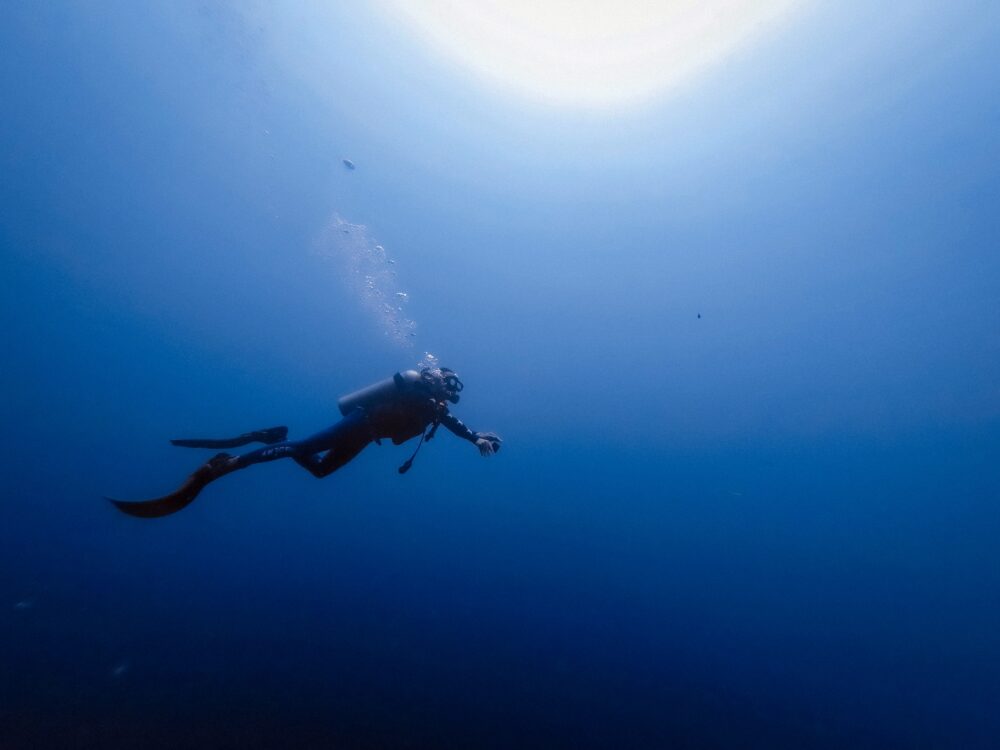 Bobbi-wu-3 H9trxhqmy-unsplash