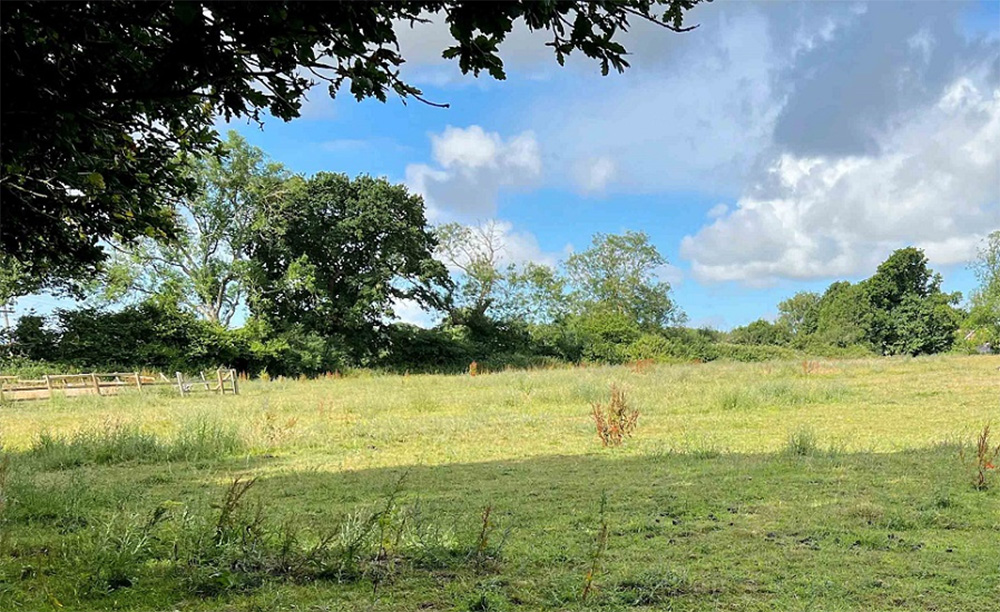 Landinwootton