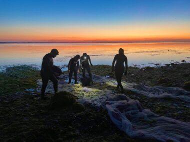 Projectseagrass1