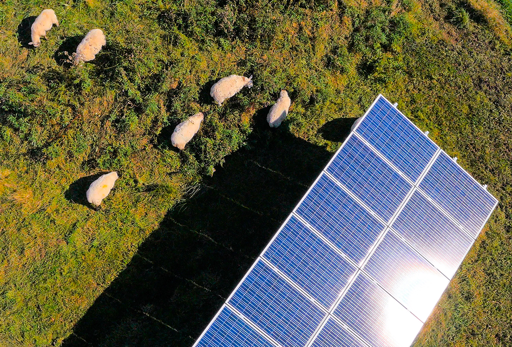 Solarfarmthorley