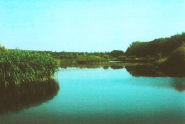 Combley Farm