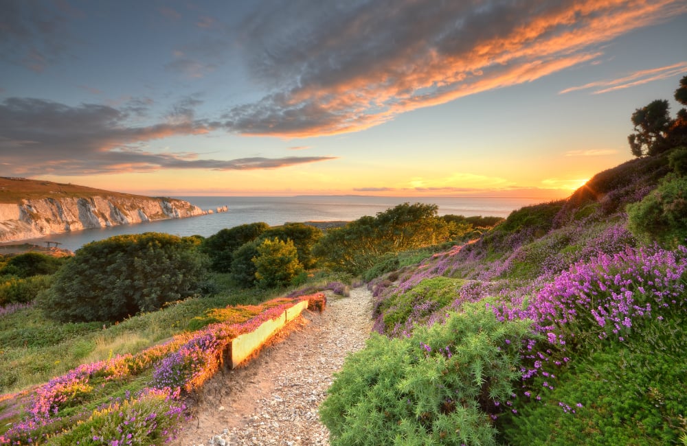 Headon Warren - Credit Visit Isle Of Wight Dot Co Dot Uk