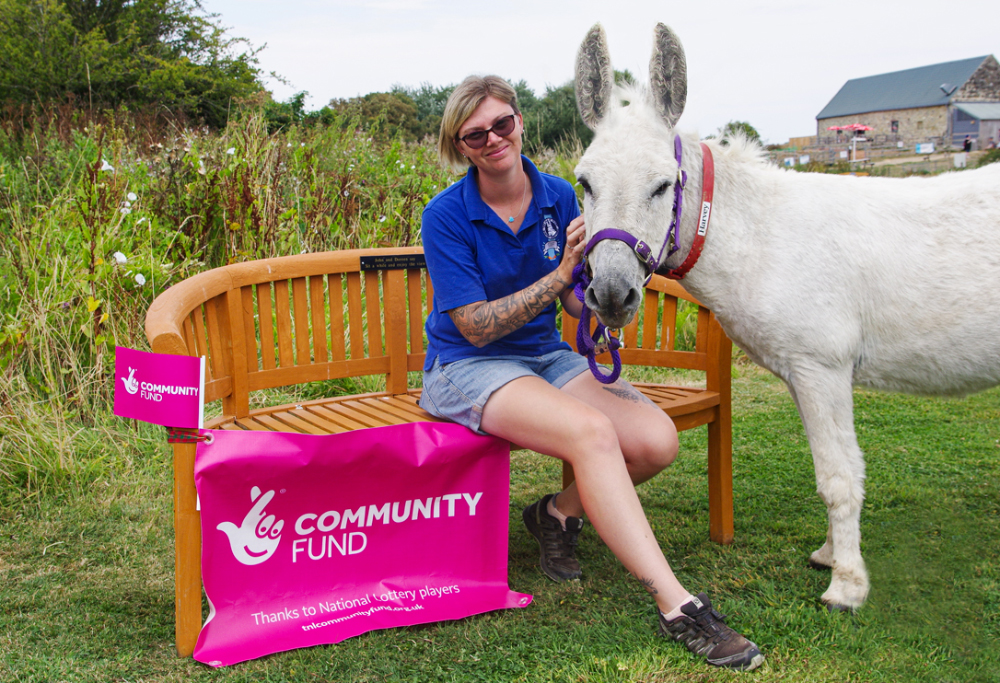 Iw Donkey Sanctuary Community-fund Image