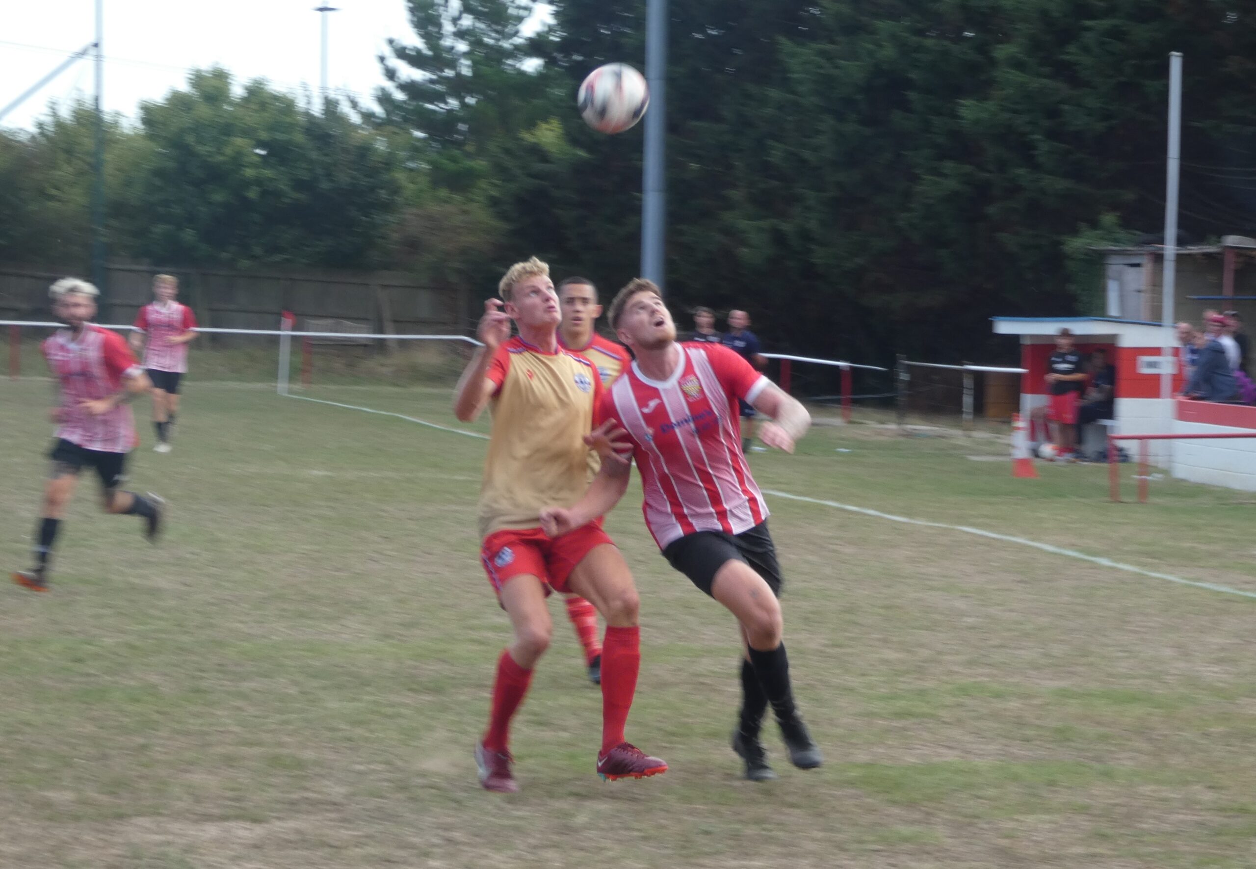 Vics V Millbrook 2 Sam Cant