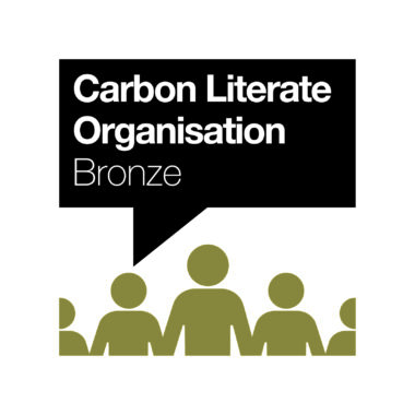 Bronzelogocouncil
