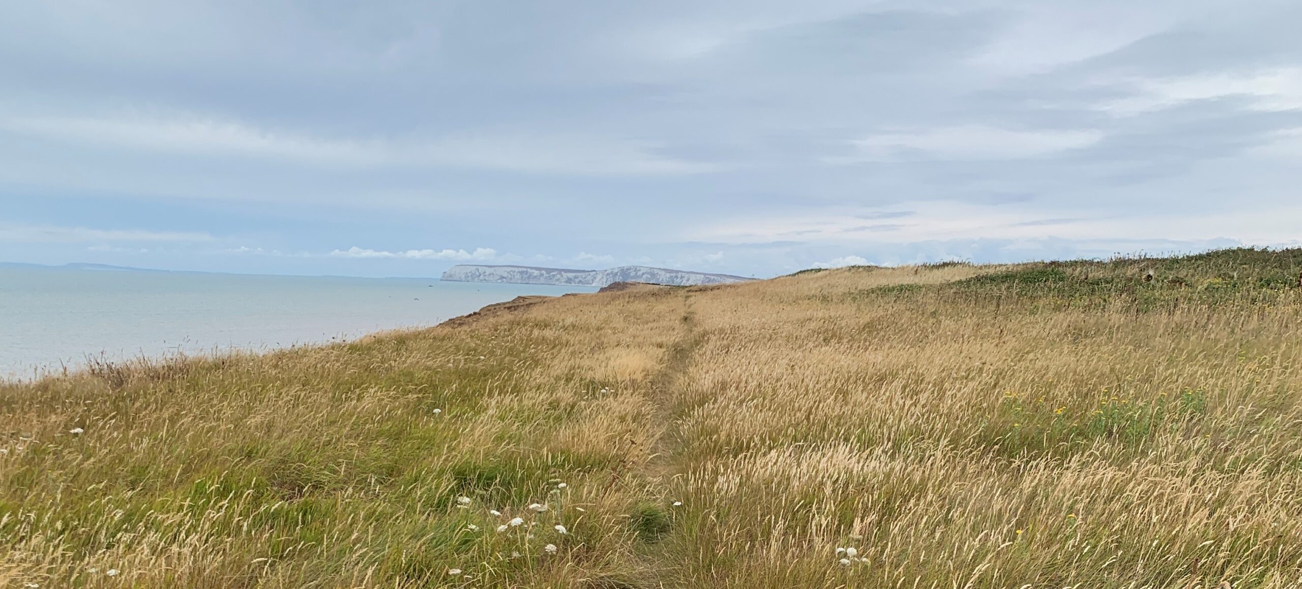 Coastal Path Looking Towards Freshwater