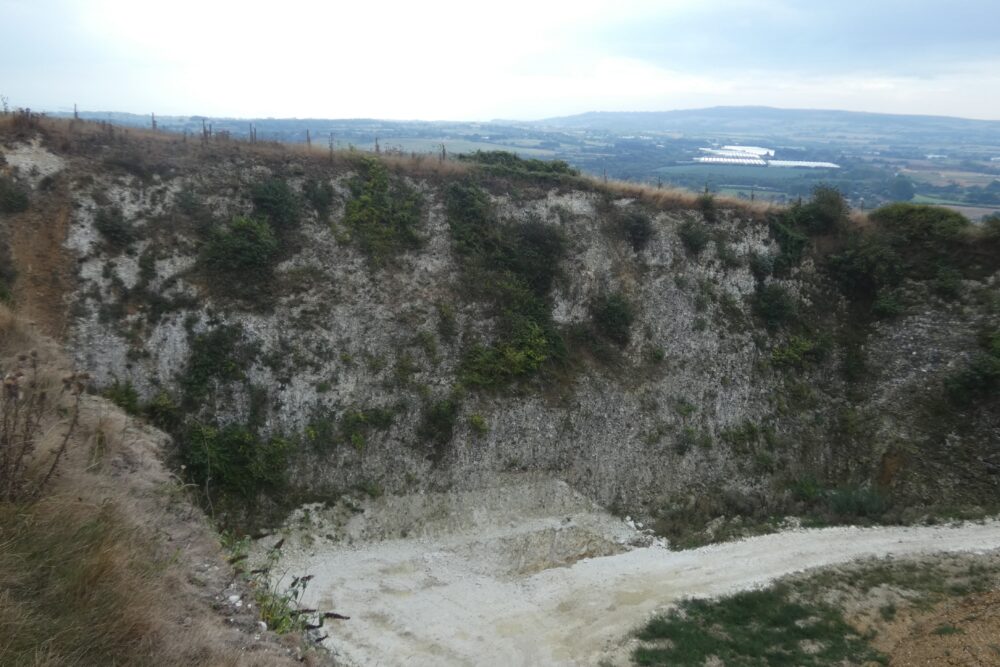 Downend Chalk Pit