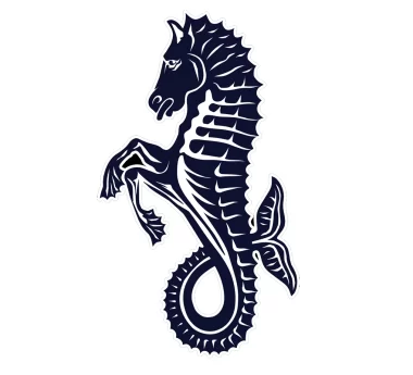 Isle Of Wight Rugby