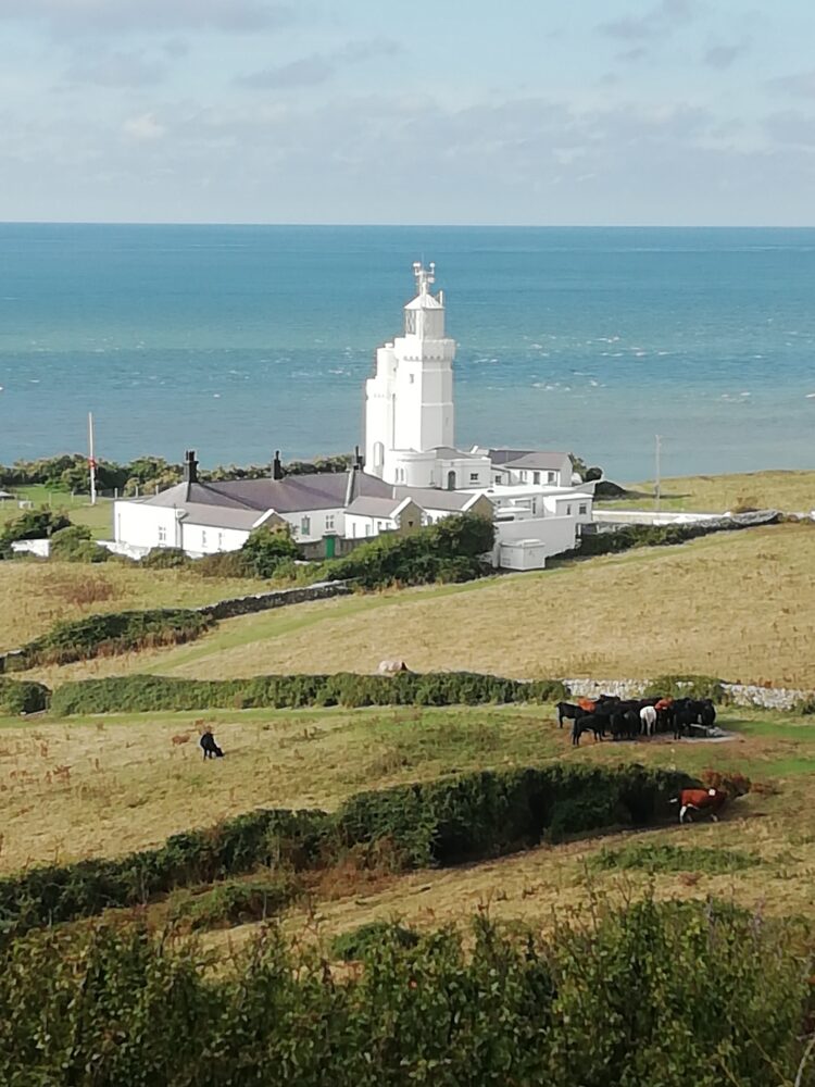 Stcathlight