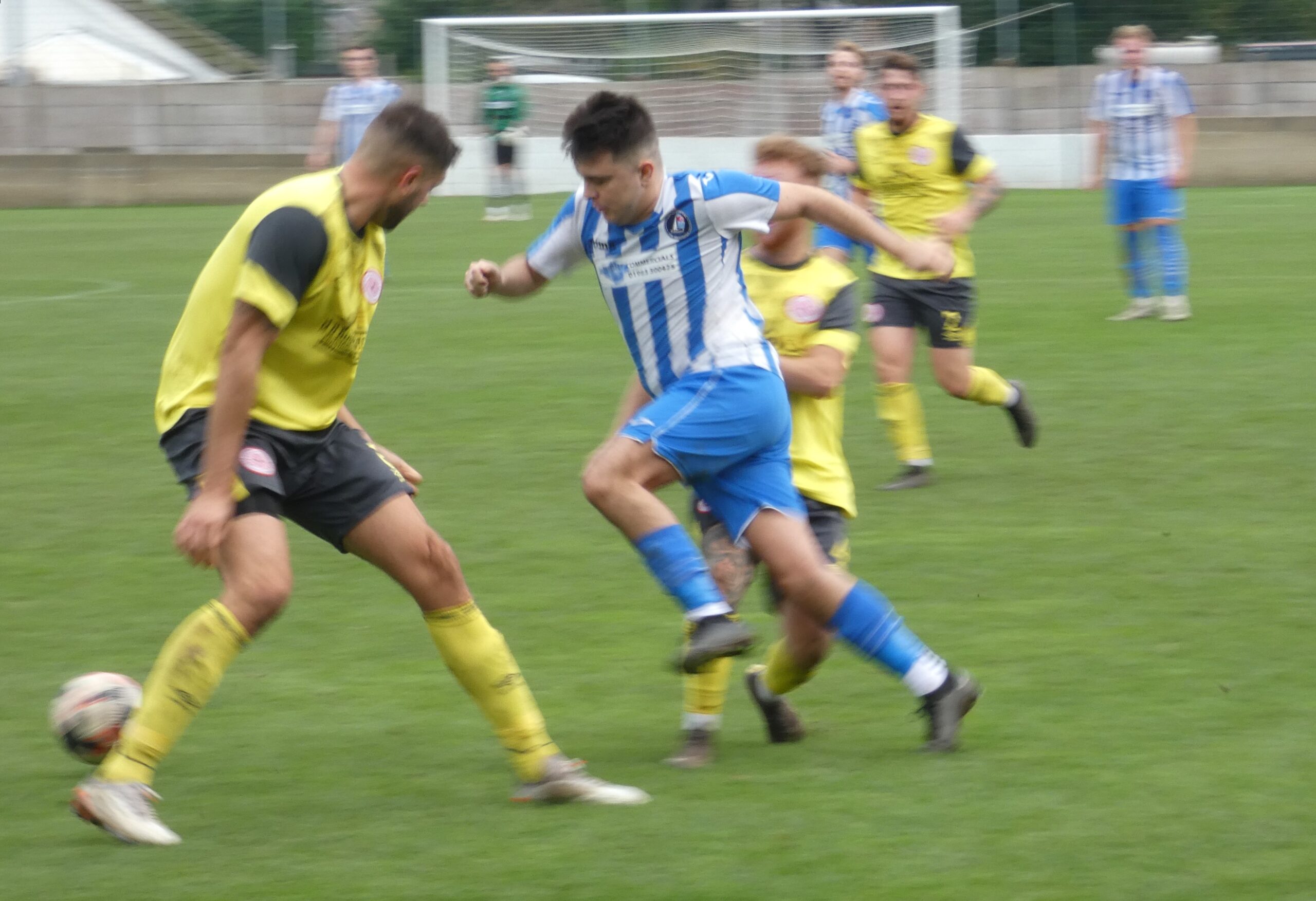Cowes Sports Aedan Coode