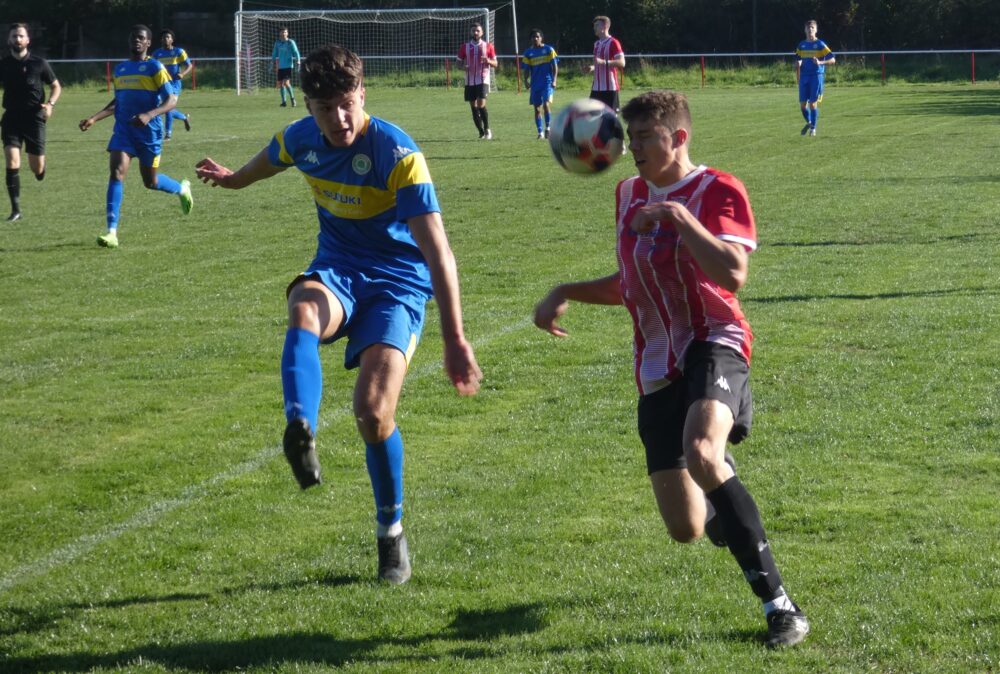 Vics V Ash