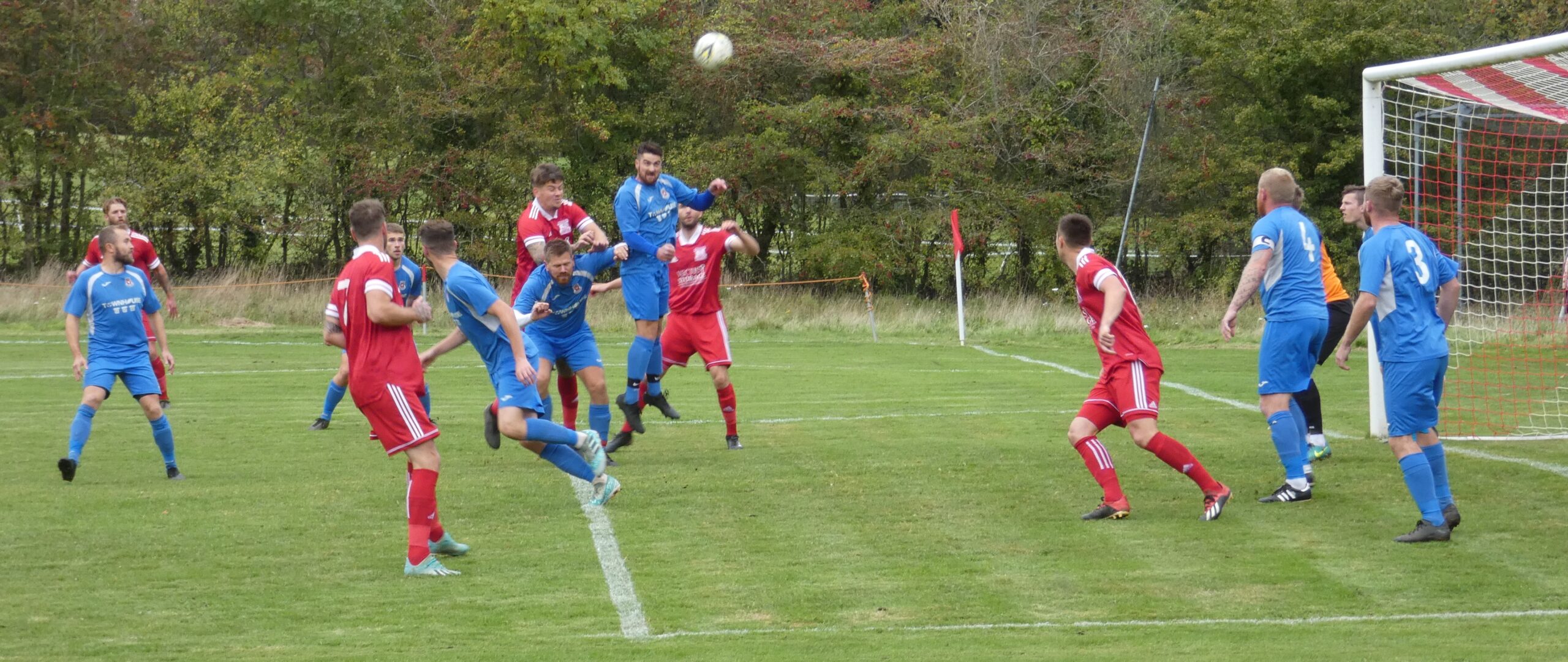 W&b V Shanklin