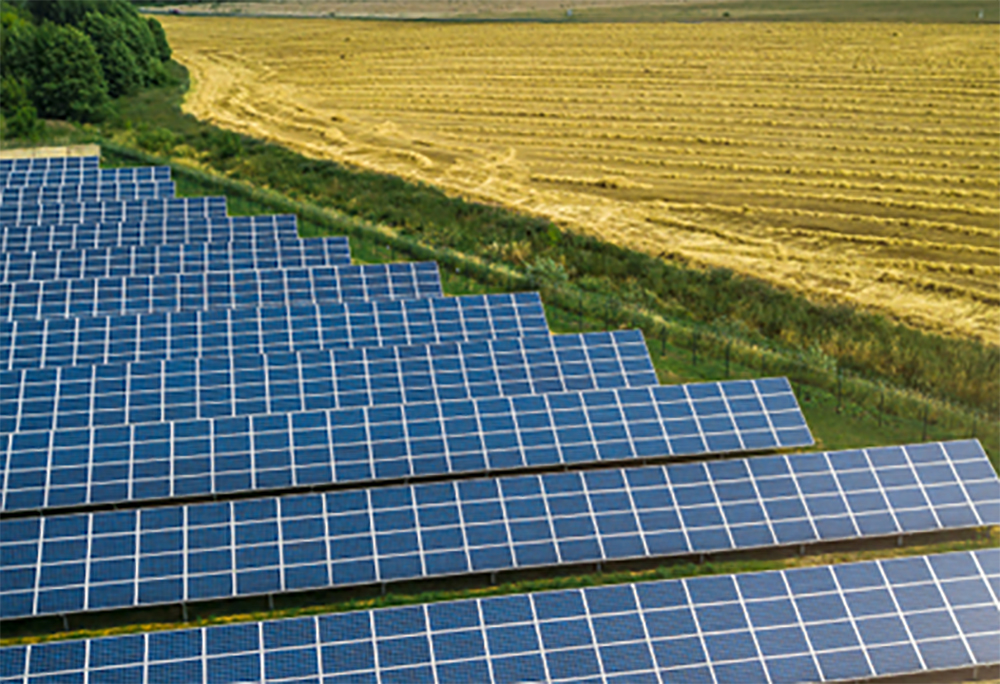 Solarpanelsunnyoaks