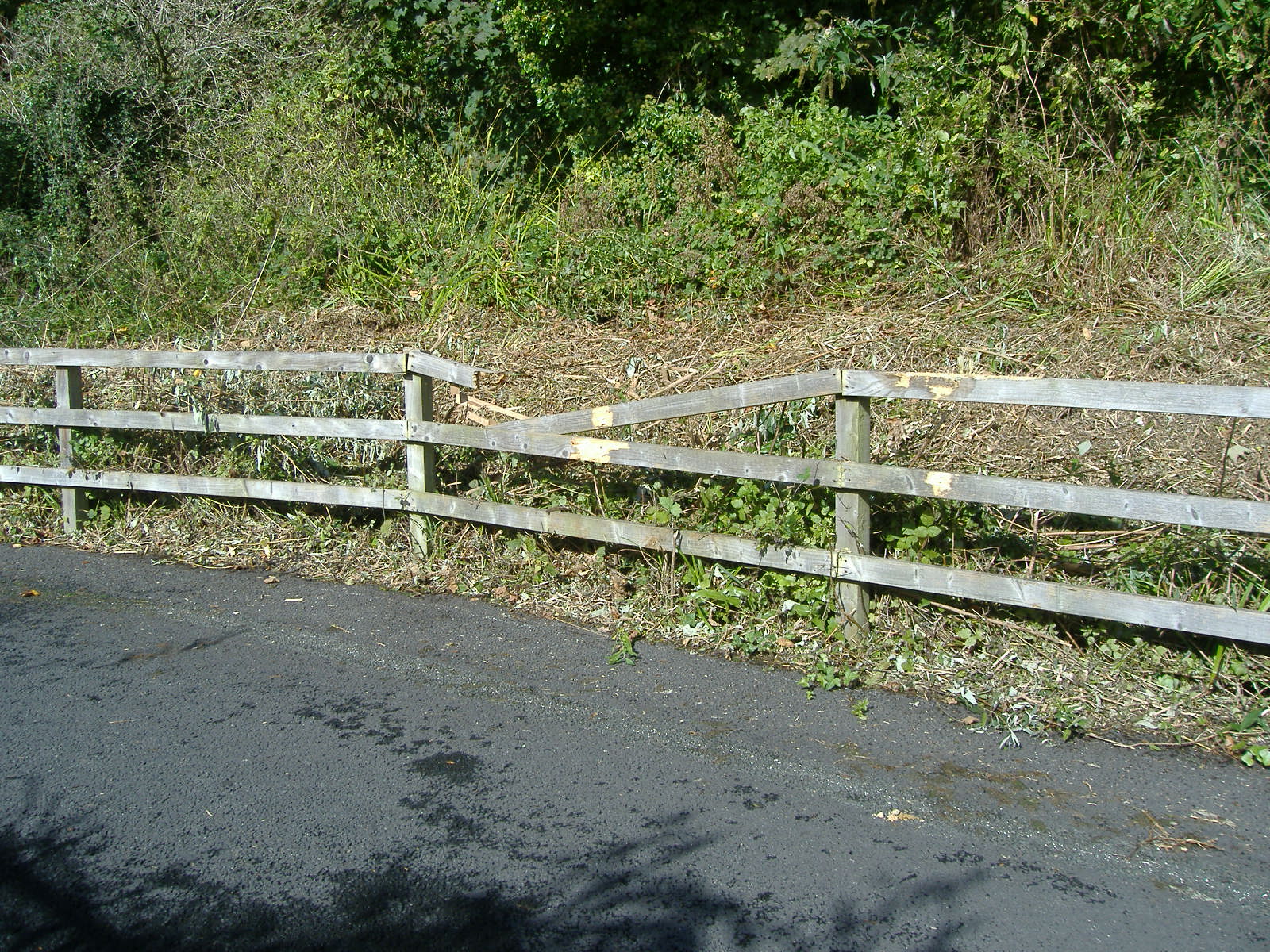 Undercliffdrive