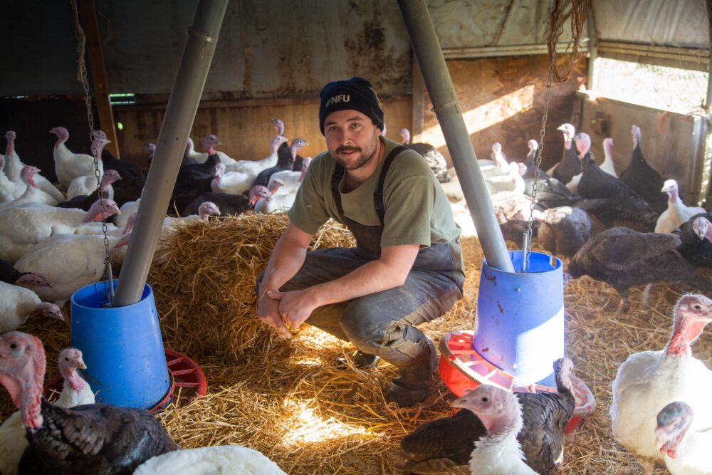 Farmshopturkeys