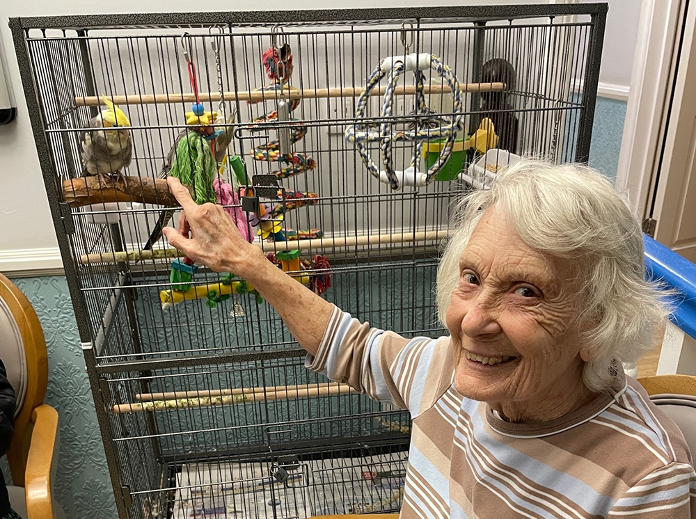 Hazelwithbirds
