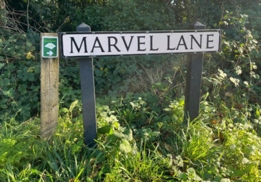 Marvellane