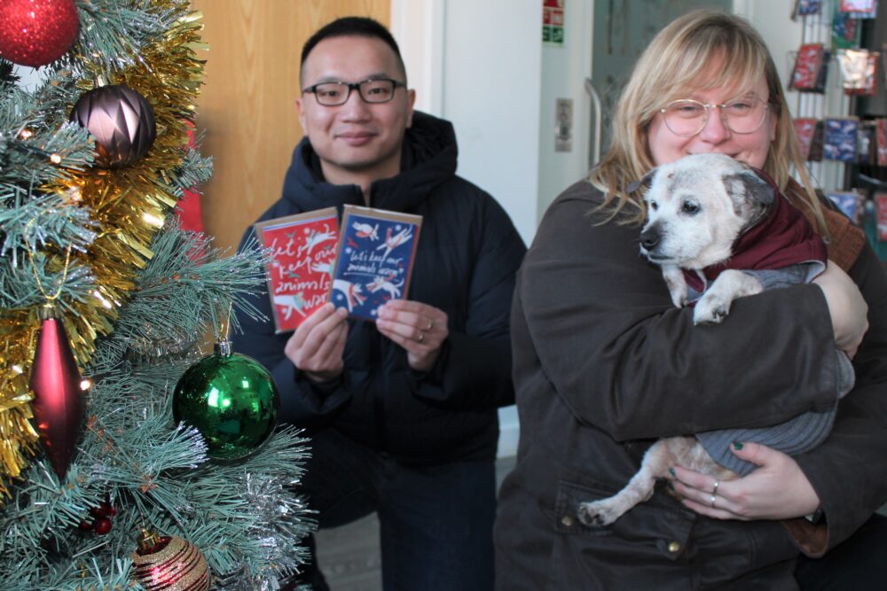 Rspca Xmas 2