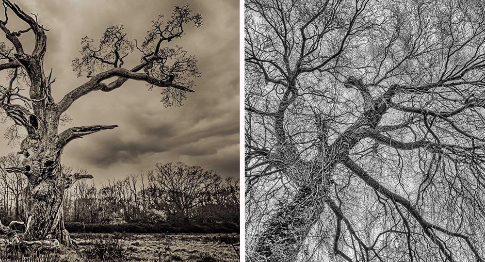 Photosociow