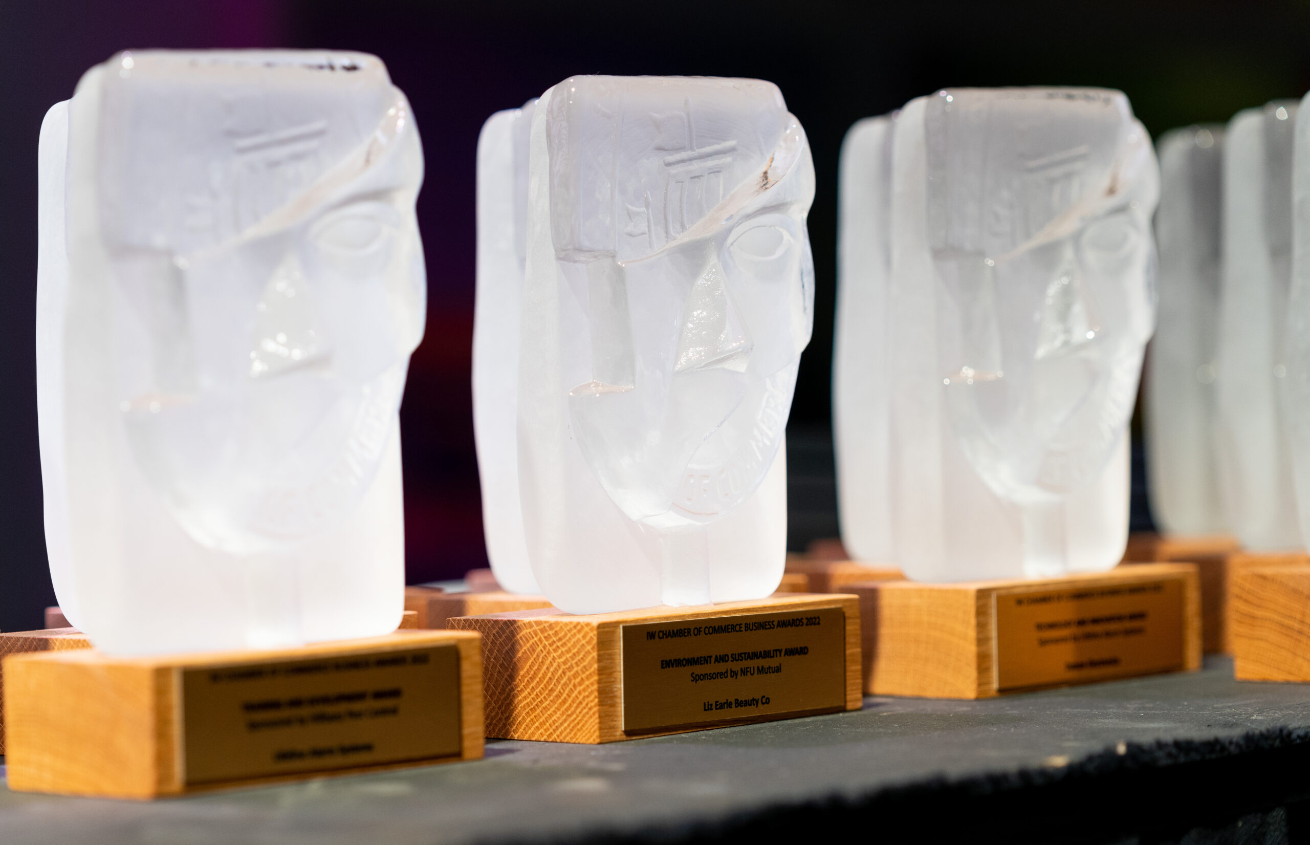 Iw Chamber Awards 2023 Statues 1