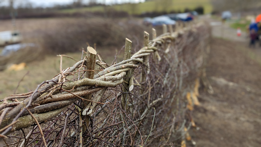 Completed Hedge 2023