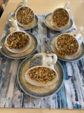 Bird Feeders (003)