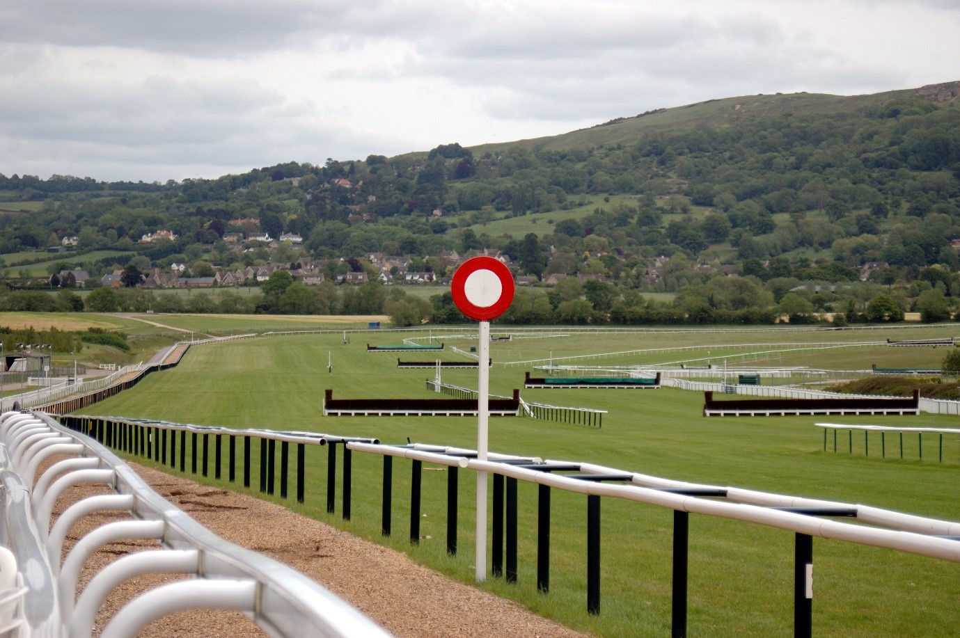 Cheltenhamhorses