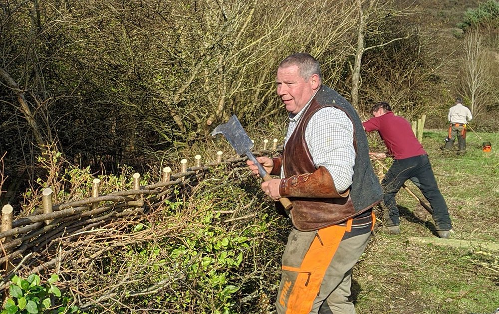 Hedgecutters